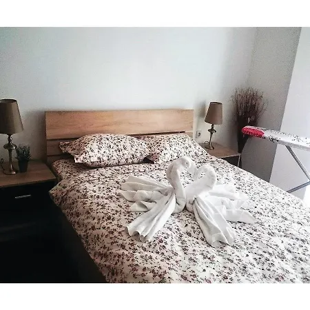 One-bedroom In 公寓 *